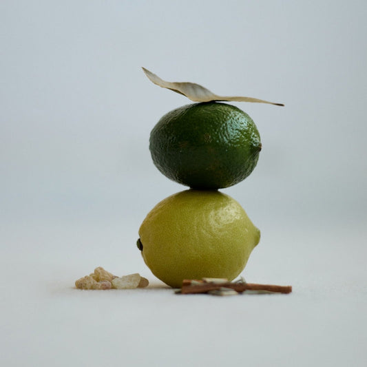 NIOCAN SMELL CANCELING SPRAY REFILL PACK 1000ml / 消臭・除菌スプレー