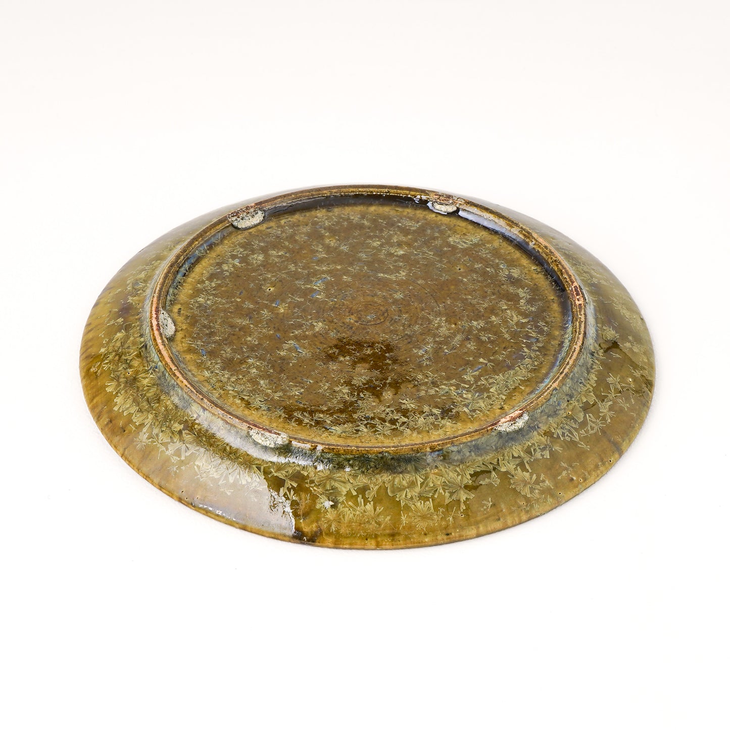 皿 5寸(約15cm) 緑 C