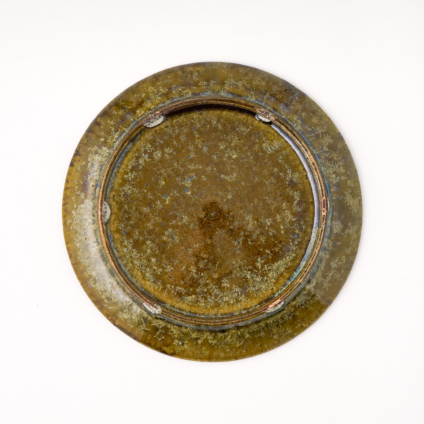 皿 5寸(約15cm) 緑 C
