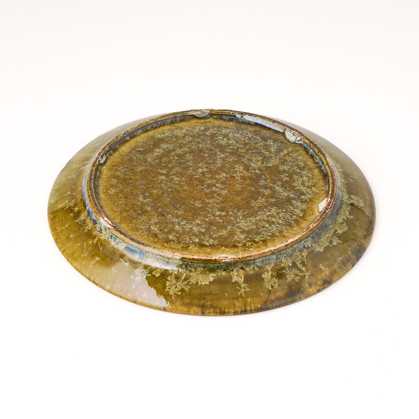 皿 5寸(約15cm) 緑 D