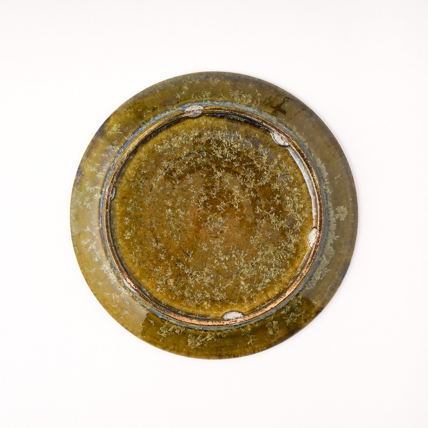 皿 5寸(約15cm) 緑 D