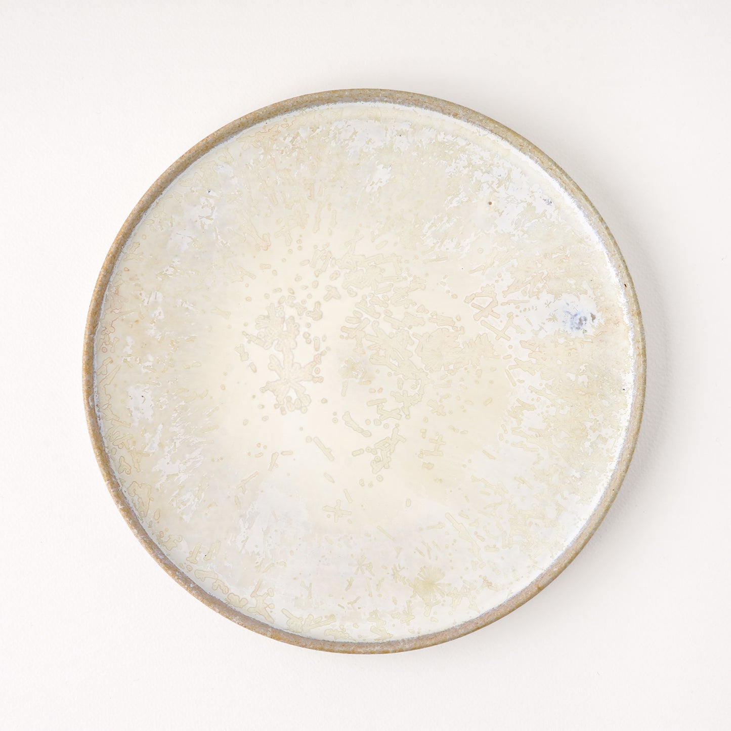平皿 M(約18.5cm) 艶消し 白釉 D